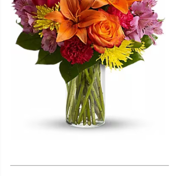 Emilees Flowers - Florists Near Me - Largo, Florida Emilees Flowers - Florists Near Me - Largo, Florida