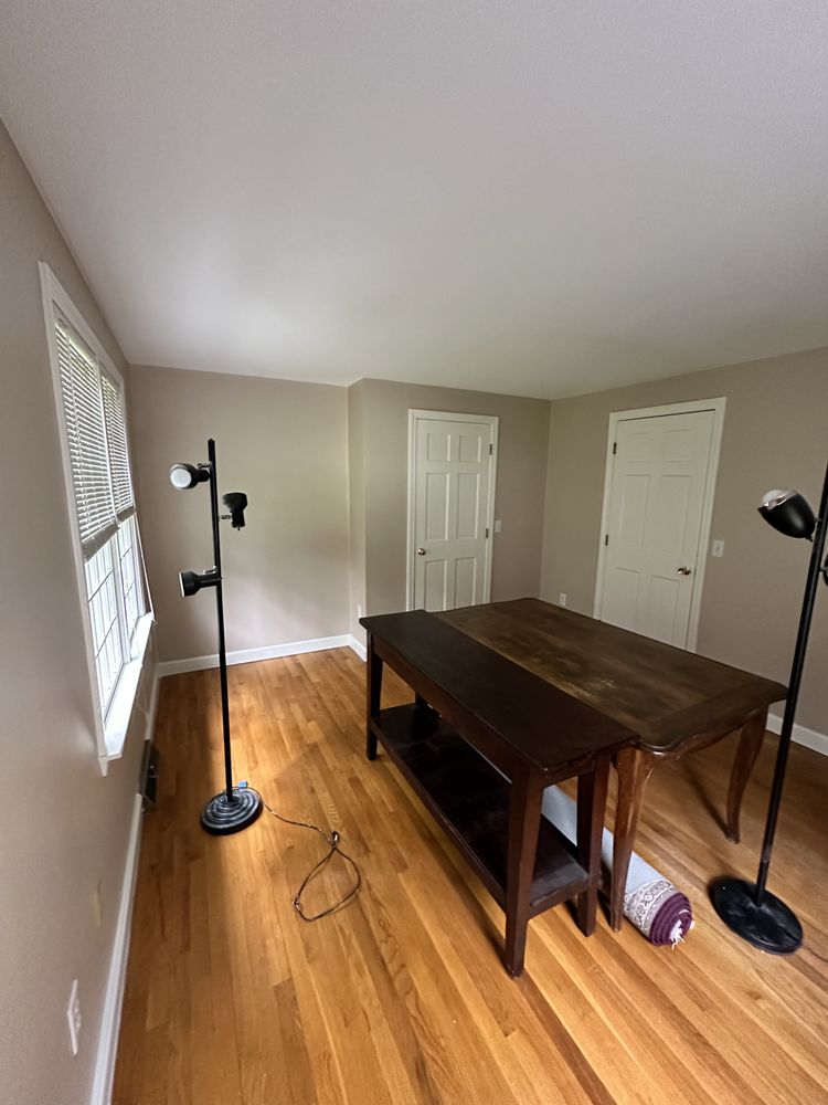 Slide of Pedretti’s Painting