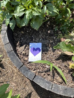 Brookeville Beer Farm by null