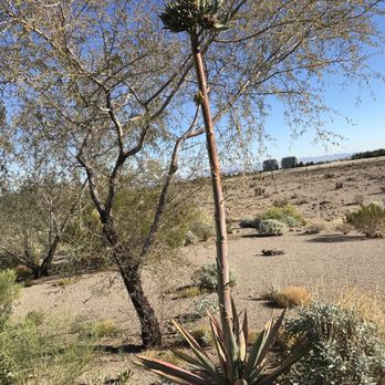 Hualapai Canyon Trailhead - Parks Near Me - Las Vegas, Nevada Hualapai Canyon Trailhead - Parks Near Me - Las Vegas, Nevada