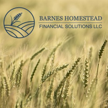 Barnes Homestead Financial Solutions - Bookkeepers Near Me Barnes Homestead Financial Solutions - Bookkeepers Near Me