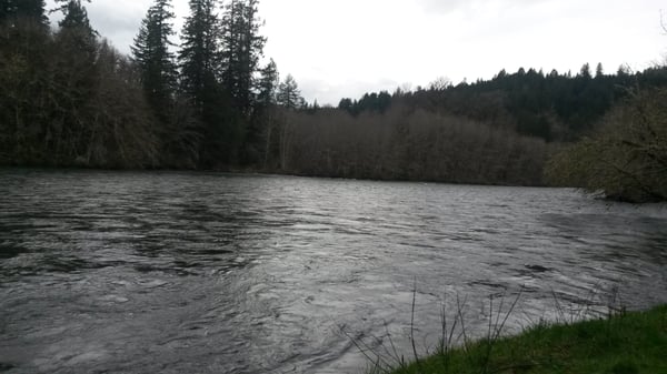 McKenzie River Inn by null