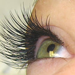 Eyelash Canada - Eyelash Canada since 2004