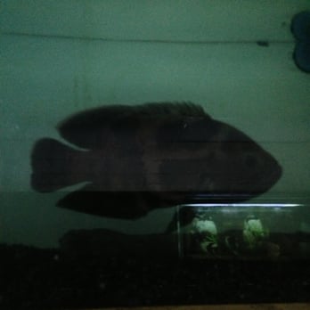 Tropical Haven - Pet Stores Near Me - Modesto, California Tropical Haven - Pet Stores Near Me - Modesto, California