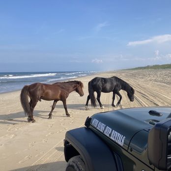 Outer Banks Jeep Rentals - Car Rental Near Me - Kill Devil Hills, North Carolina Outer Banks Jeep Rentals - Car Rental Near Me - Kill Devil Hills, North Carolina