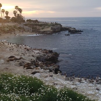 La Jolla Cove - Parks Near Me - La Jolla, California