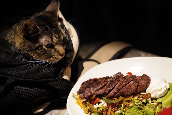 Carmelita's Kitchen by null