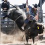 Photo of Sheboygan County Fair