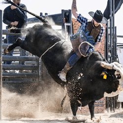 Sheboygan County Fair - Bull riding at the Sheboygan County Fair.