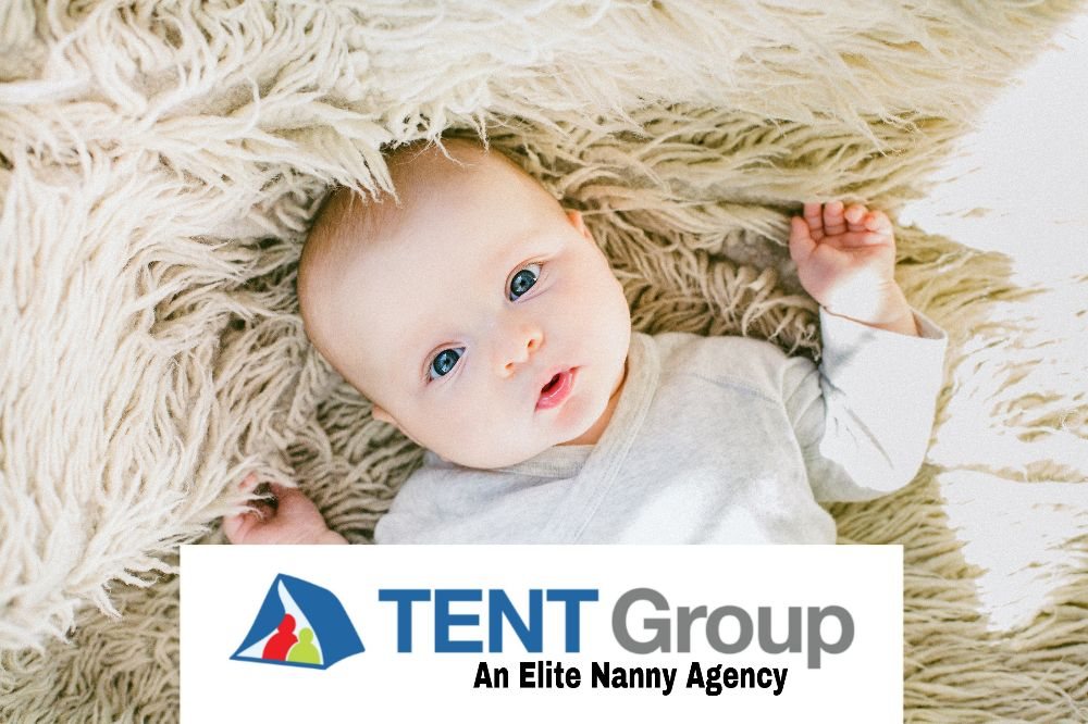 The Elite Nanny Team - childcare center in Minneapolis, MN