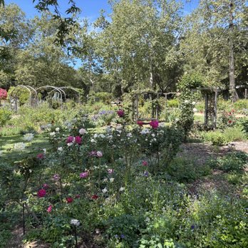 Descanso Gardens - Botanical Gardens Near Me - La Canada Flintridge, California Descanso Gardens - Botanical Gardens Near Me - La Canada Flintridge, California