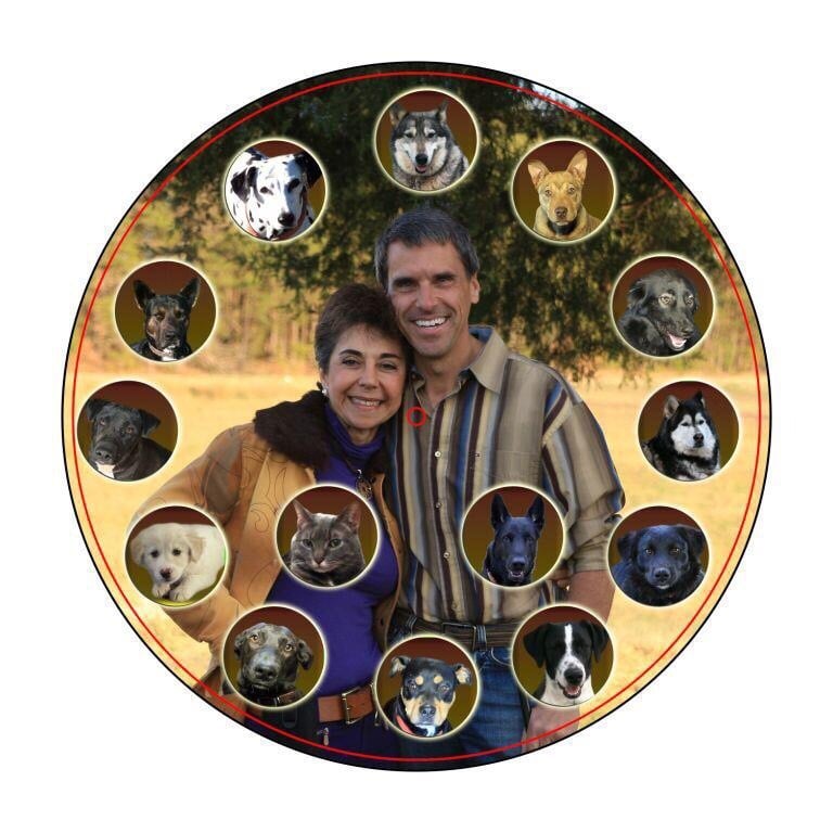 GRAND STRAND ANIMAL HOSPITAL 11 Reviews Veterinarians 3007 B Church St, Myrtle Beach, SC