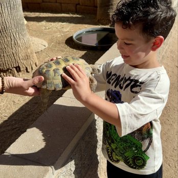 Phoenix Herpetological Society - Community Service/Non-Profit Near Me