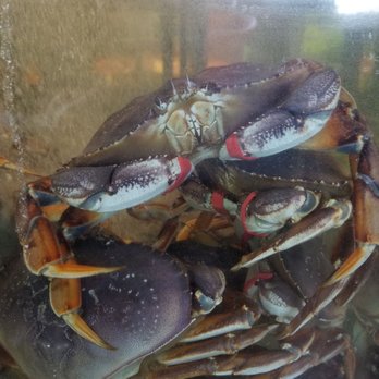 Kuzma's Fish Market - Dungeness Crab. - Seafood Markets Near Me - Edmonds, Washington Kuzma's Fish Market - Dungeness Crab. - Seafood Markets Near Me - Edmonds, Washington