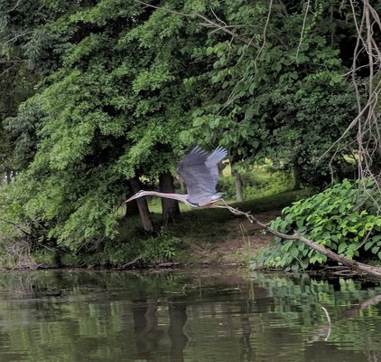 Kayak Pittsburgh North Park by null