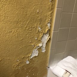 This is by far the most disgusting room I've ever seen. Paint peeling off the walls, ceilings. This is by far the most disgusting room I've ever seen. Paint peeling off the walls, ceilings.