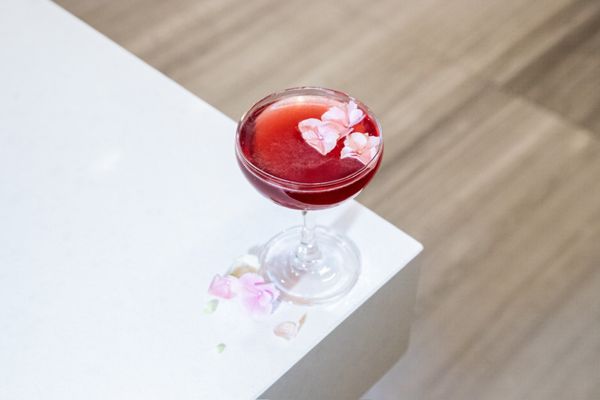 Catria Cucina and Bar by null