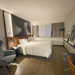 Radisson Blu Hotel - King room