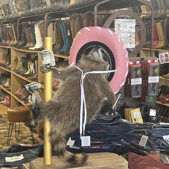 Allens Boots - I definitely don't know what is going on here lol. - Men's Clothing Near Me - Fredericksburg, Texas