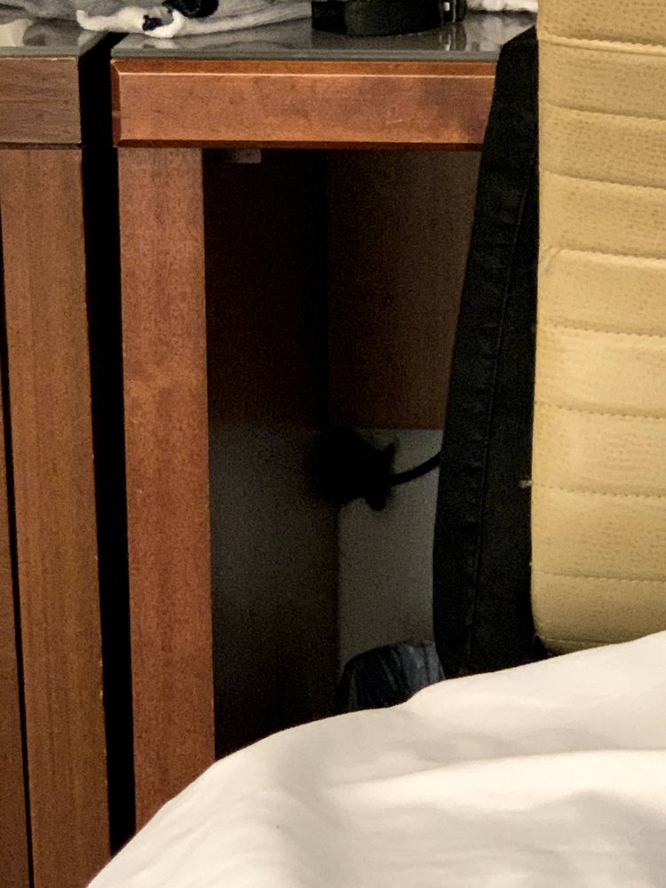 TRAVELODGE CRESCENT CITY Updated July 2024 19 Photos & 31 Reviews