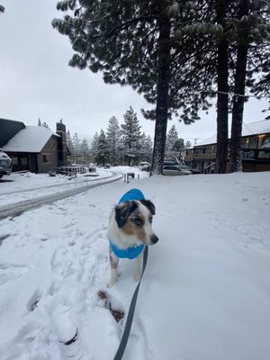 Summit View Inn by null