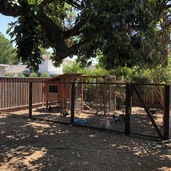 Ergeon - We love our new chicken enclosure! - Fences & Gates Near Me - San Jose, California Ergeon - We love our new chicken enclosure! - Fences & Gates Near Me - San Jose, California