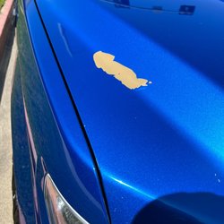 Sierra Car Wash & Detail Shop - Chipped hood