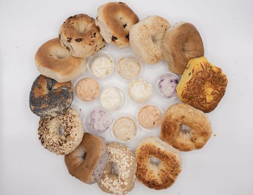 Galveston Bagel Company by null