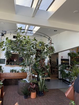 11th Hour Coffee by null