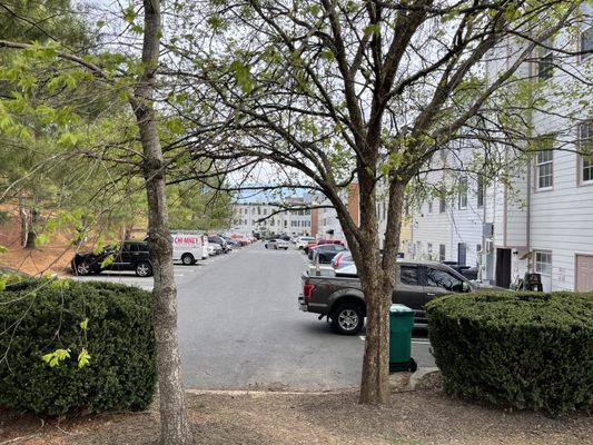 The Grilled Oyster Company by null