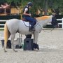 Elysian Stables Miami