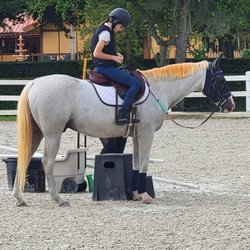 Elysian Stables Miami