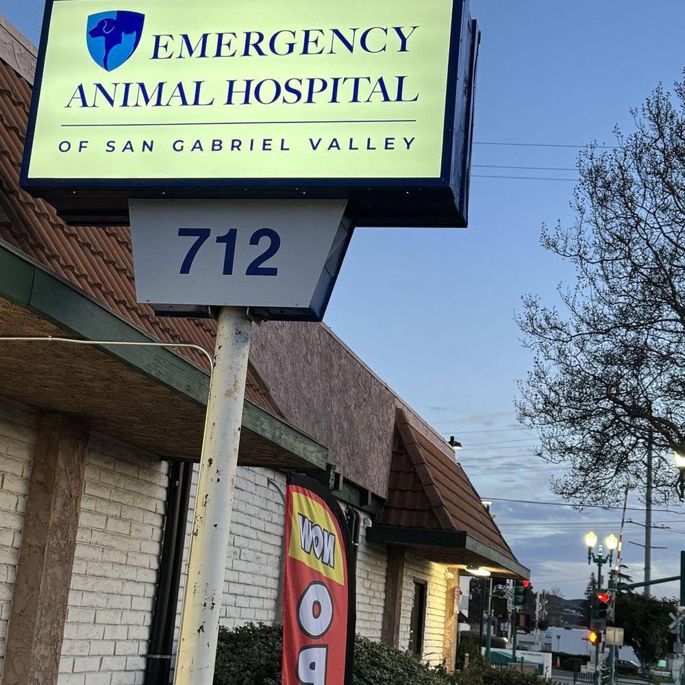 Best nearest 24 hour vet hospital Discount