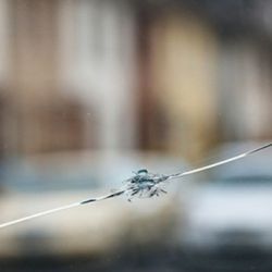 Flash Auto Glass
