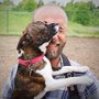Photo of Dylan Boyce Dog Training