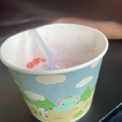 Foyolicious - My froyo i got