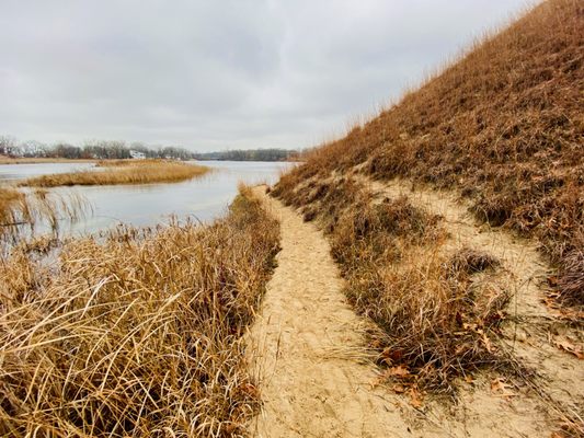 Indiana Dunes National Park by null