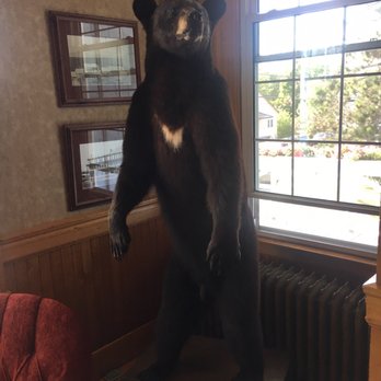 The Rangeley Inn & Tavern - Stuffed bear - Hotels Near Me - Rangeley, Maine The Rangeley Inn & Tavern - Stuffed bear - Hotels Near Me - Rangeley, Maine