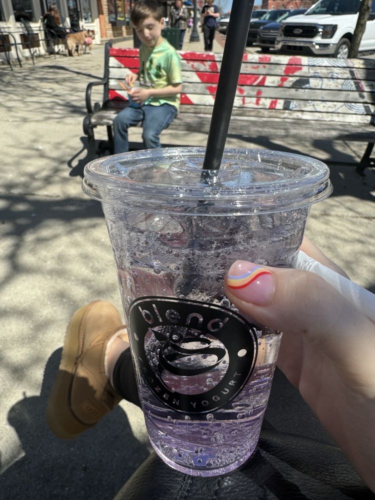 BLEND FROZEN YOGURT Updated August 2024 17 Photos & 19 Reviews
