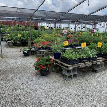 Stream Cliff Farm - Nursery - Wineries Near Me - Commiskey, Indiana