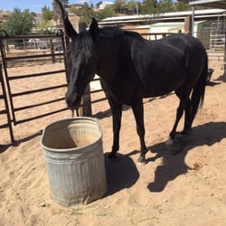 Boulder City Horseman's Association