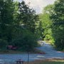 Photo of Red Paw Tree & Land Management