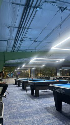 The Pool Turtle by null