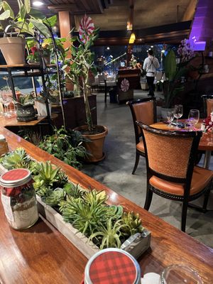 Harmony Brazilian Steakhouse & Bar by null