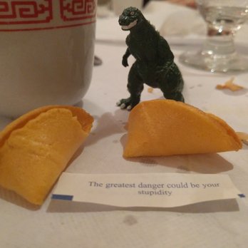 Tiger Bowl - Cookie message says: the greatest danger could be your stupidity. RAWRrrrrrR! - Chinese Near Me - Westport, Connecticut Tiger Bowl - Cookie message says: the greatest danger could be your stupidity. RAWRrrrrrR! - Chinese Near Me - Westport, Connecticut