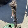 Photo of Independent Plumbing and Drain