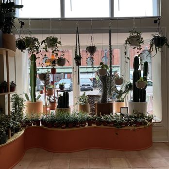 REWILD Capitol Hill - Nurseries & Gardening Near Me - Washington, DC, District of Columbia