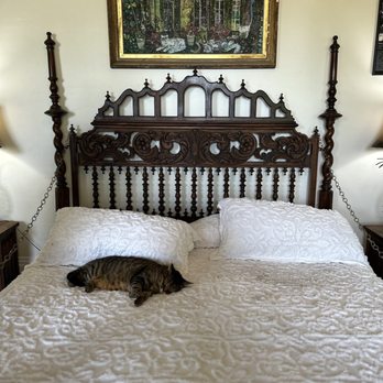 Ernest Hemingway Home  - Fat 6 toed cat ‍ - Museums Near Me - Key West, Florida