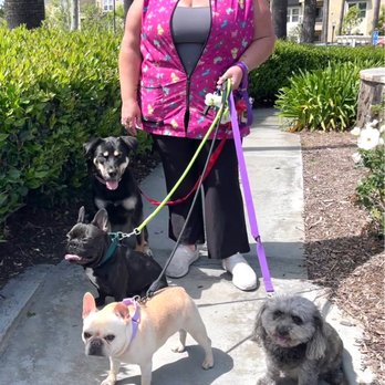 Joyful PawZ Pet Services - Dog Walkers Near Me Joyful PawZ Pet Services - Dog Walkers Near Me