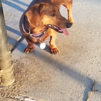 Elk Park - Dachshund friendly - Parks Near Me - Modesto, California Elk Park - Dachshund friendly - Parks Near Me - Modesto, California